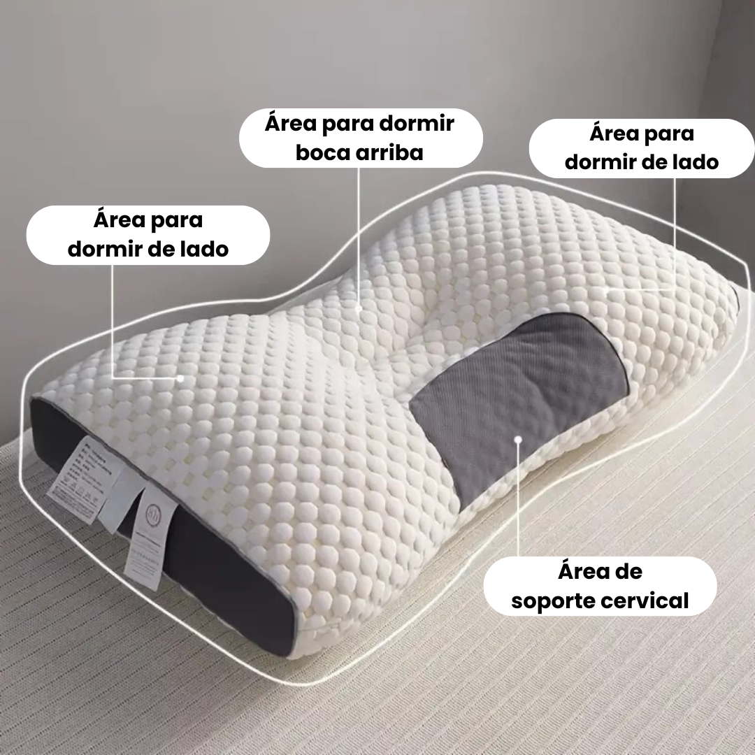 Encabezado