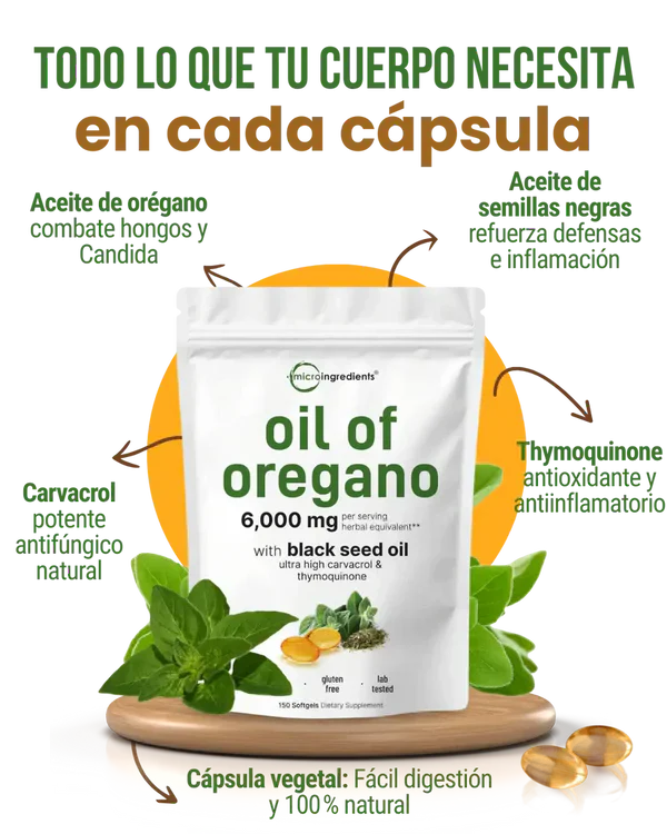 Encabezado