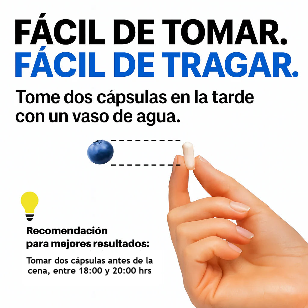 Encabezado