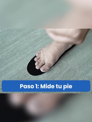 Encabezado